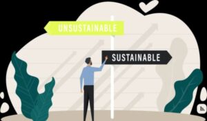 Scaling Your Education Business for Long-Term Growth
